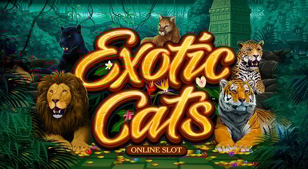Microgaming releases Exotic Cats Slot